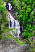 White Water Falls in May